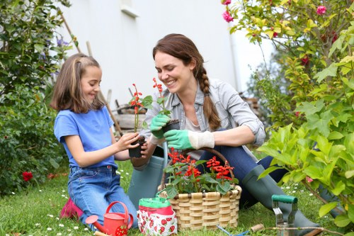 Garden design and build project in a Lambeth residential back garden