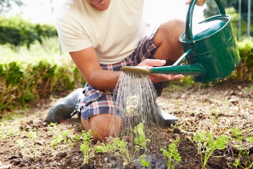 Accessibility request section for Landscaping Lambeth website