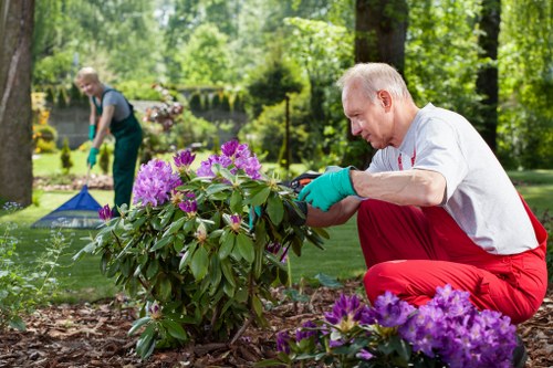 Team member wearing PPE while working in a Lambeth garden