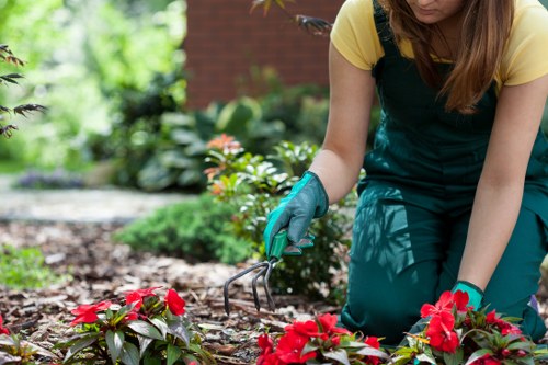 Accepted payment methods for Landscaping Lambeth services