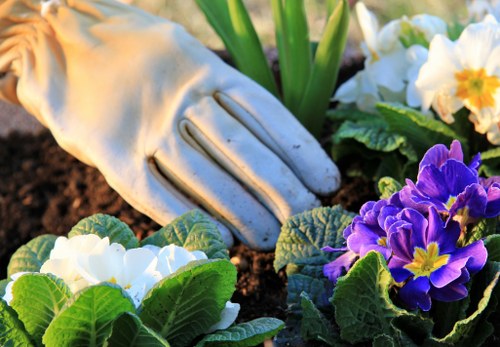 Local transfer station handling landscaping waste for recovery
