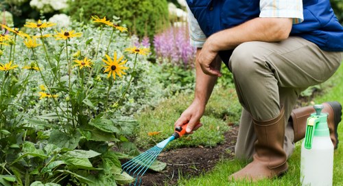 Local garden design and paving work for a Lambeth home