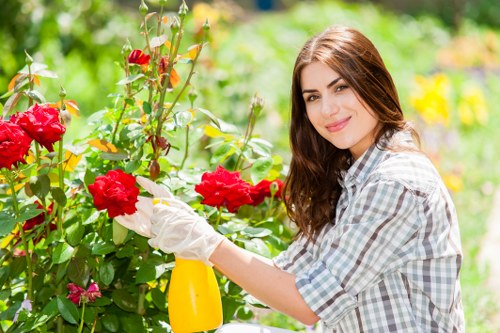 Outdoor landscaping quotation and scheduling discussion