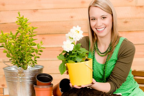 Free quote policy for landscaping work in a Lambeth property
