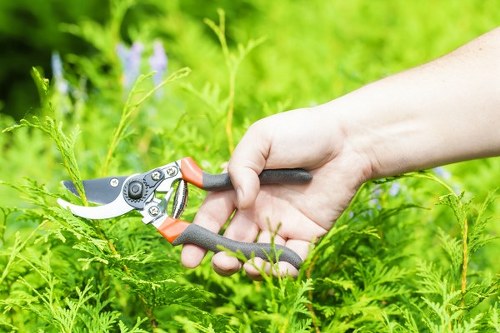 Accessible content structure for Lambeth landscaping information