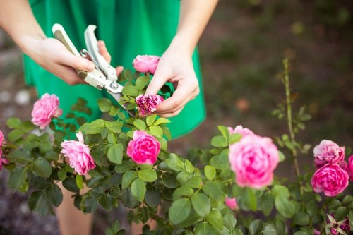 Commitment to ethical landscaping and zero tolerance for exploitation