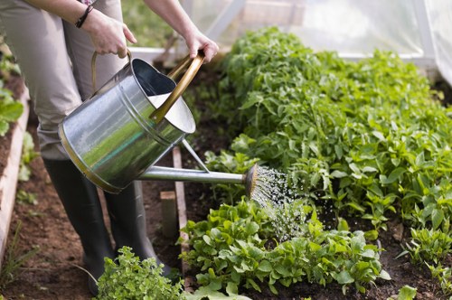 Private Lambeth outdoor space with screening plants and comfortable seating