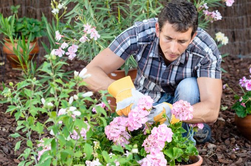 A manager assessing completed landscaping work against the specification